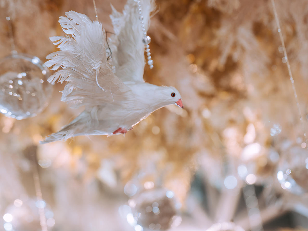 小清新和浪漫欧式的结合 你从辰光中走来