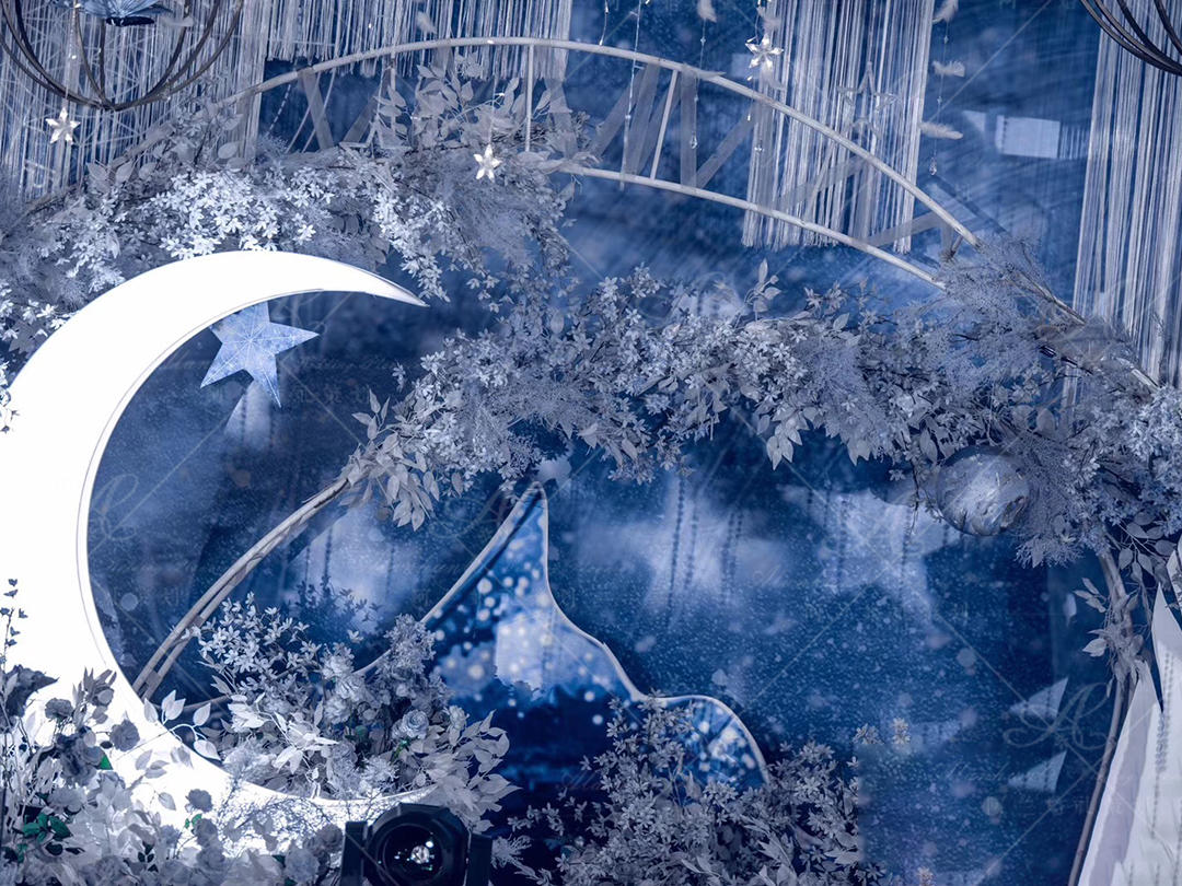 【ALAN婚礼定制】ins风蓝色星空主题婚礼定制