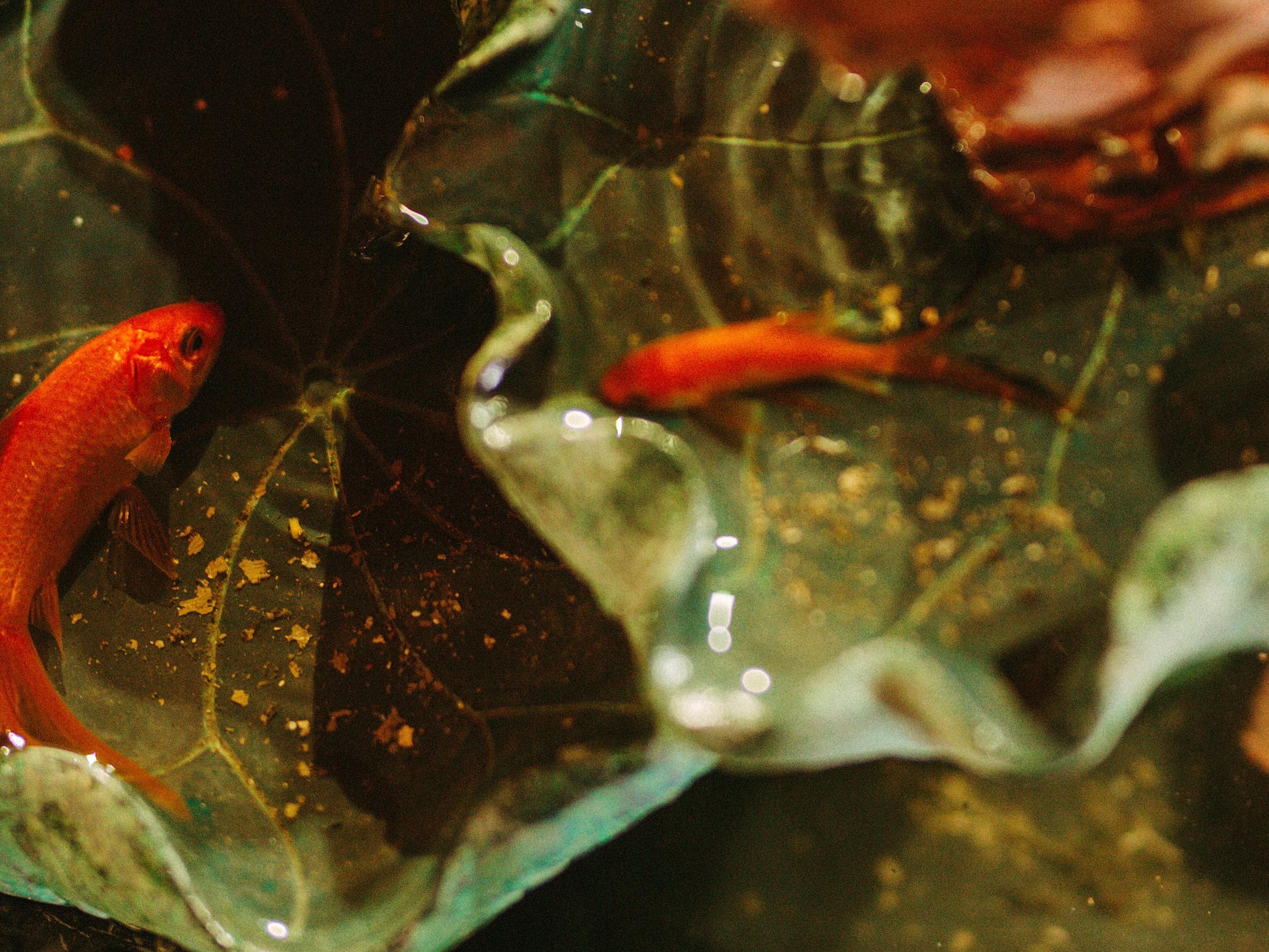 《逢双婚礼》常熟国际酒店中式婚礼