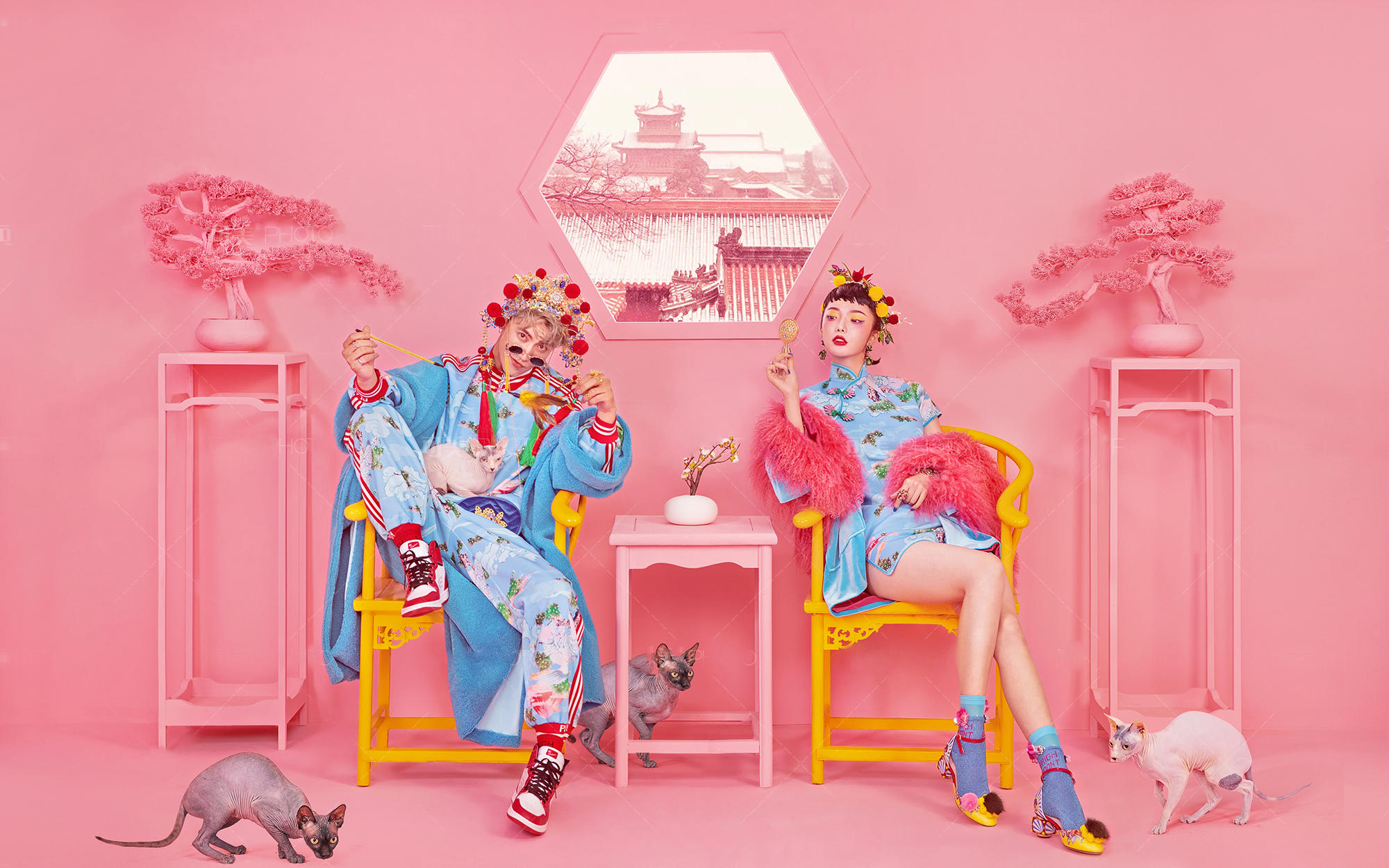 《赫摄影》厦门旅拍+人气爆款+接机服务