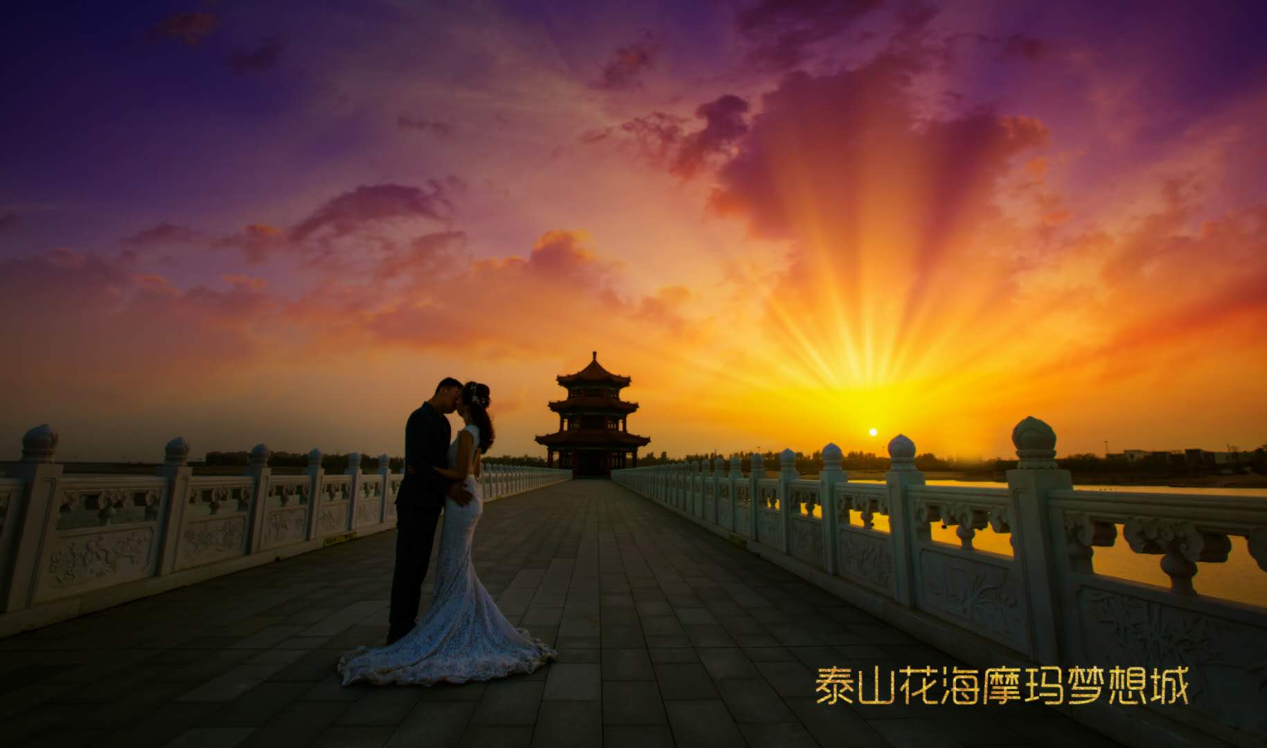 泰安花海梦想城