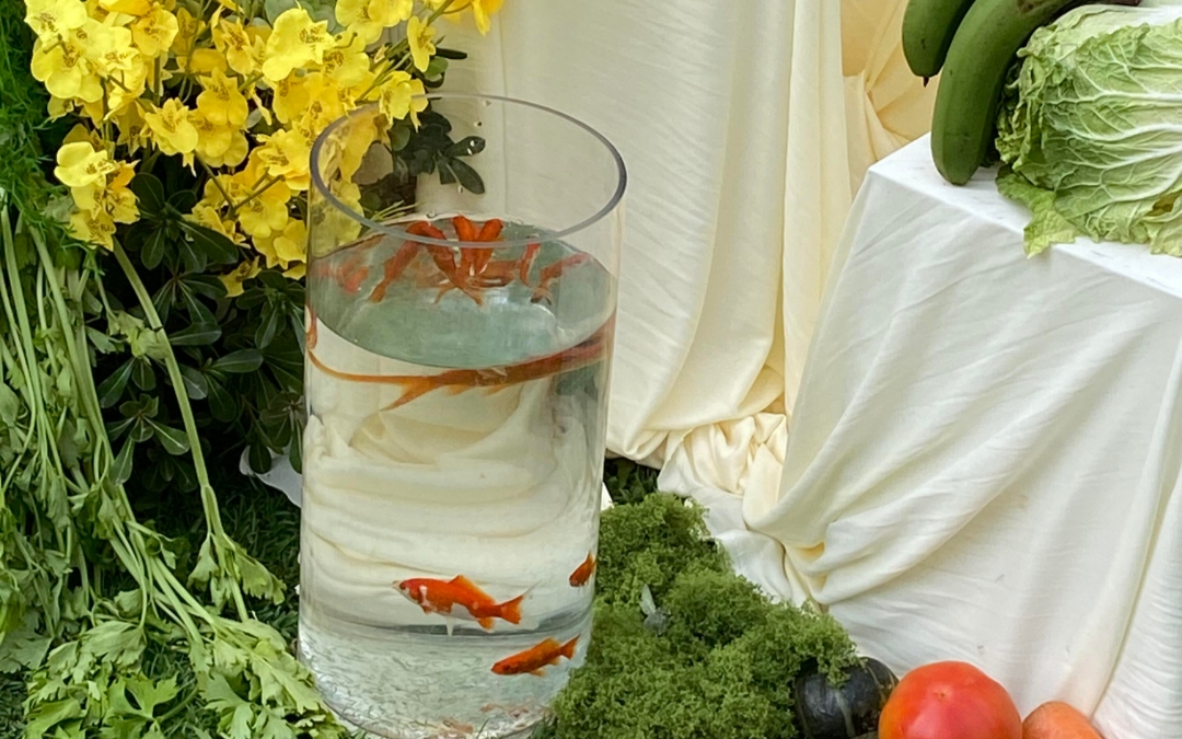 以自然為背景
