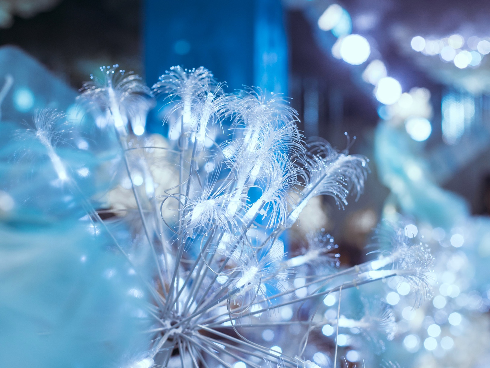 幸福，总是喜极而泣的感动