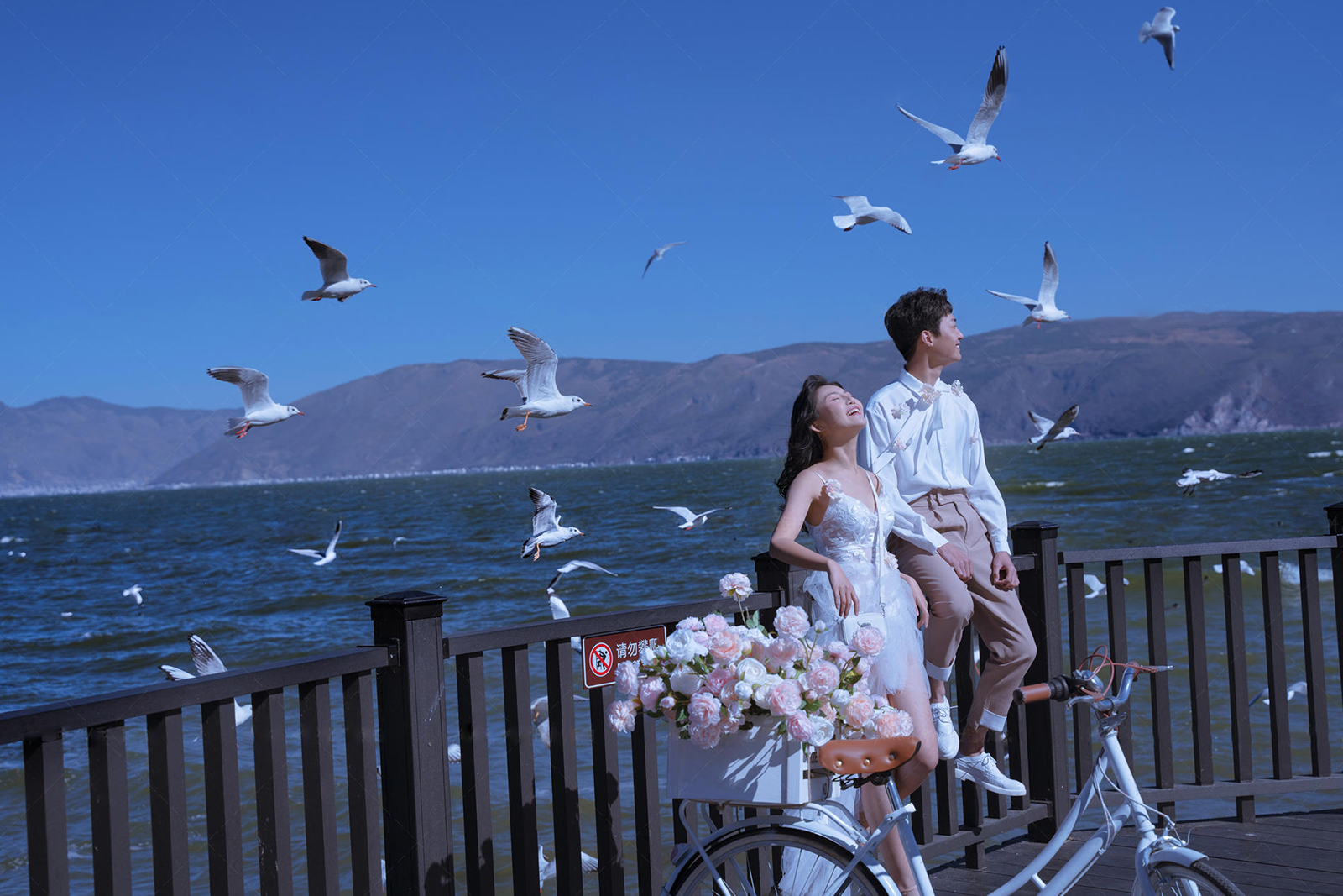 ◎双城市爆火「三亚/丽江/大理/厦门」旅拍婚纱照
