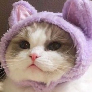 笑笑