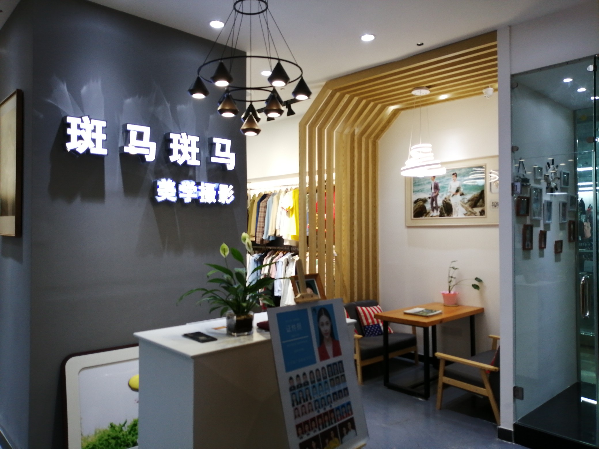 斑马斑马美学摄影