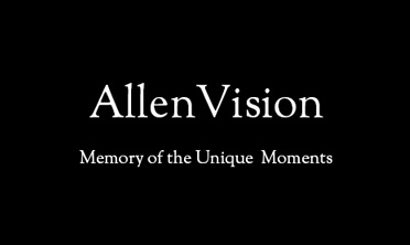 AllenVision