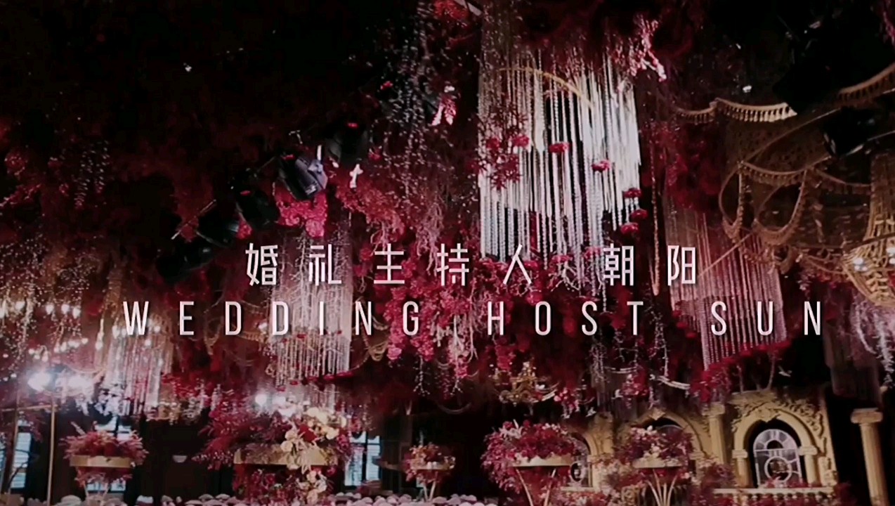 【人气主持朝阳】从校服到婚纱，从青涩到成熟