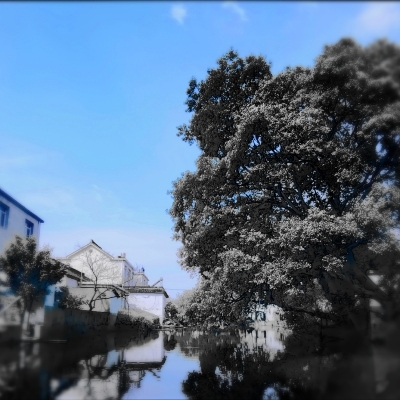 null水色映像