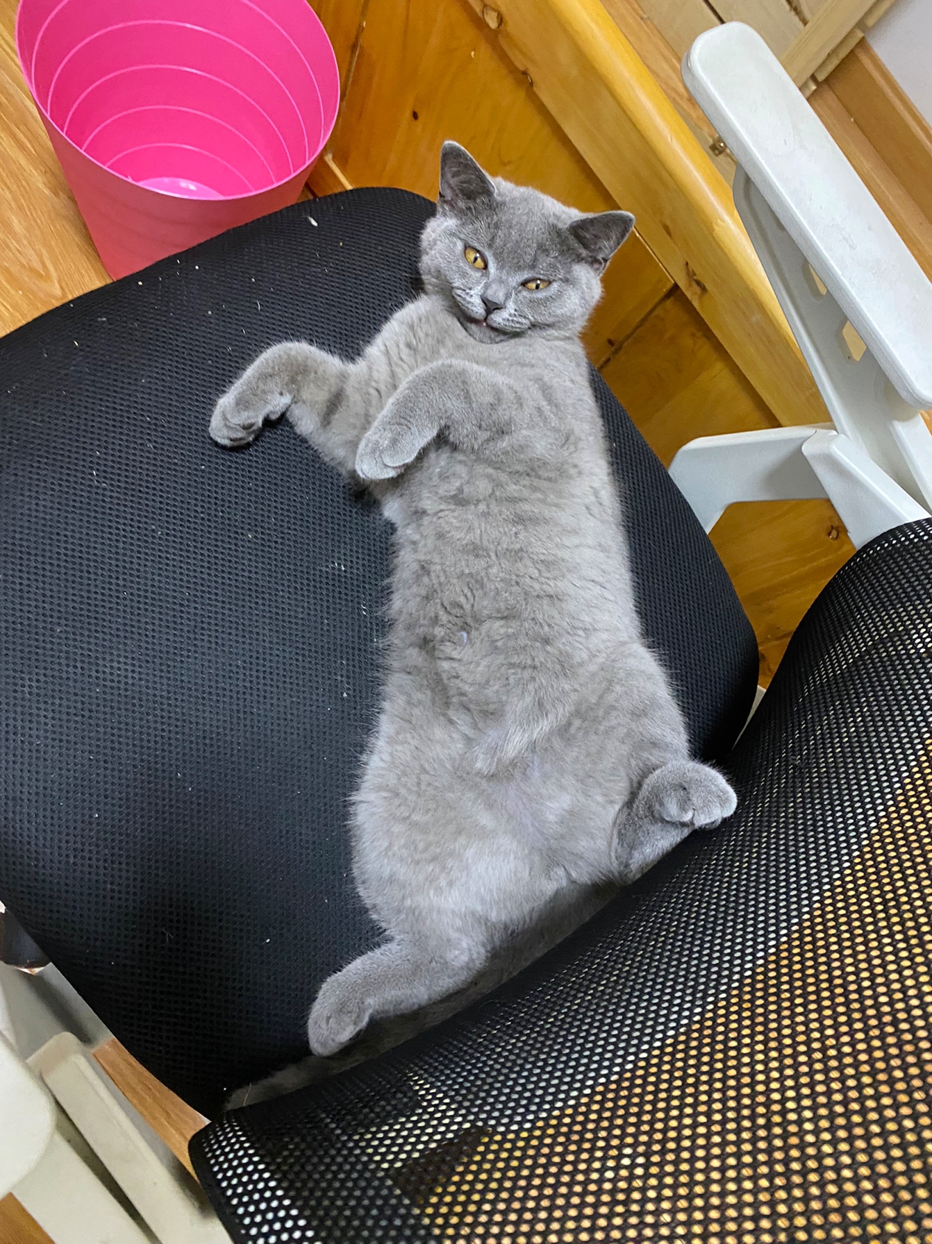 测试星晴sunny小清新古风套餐