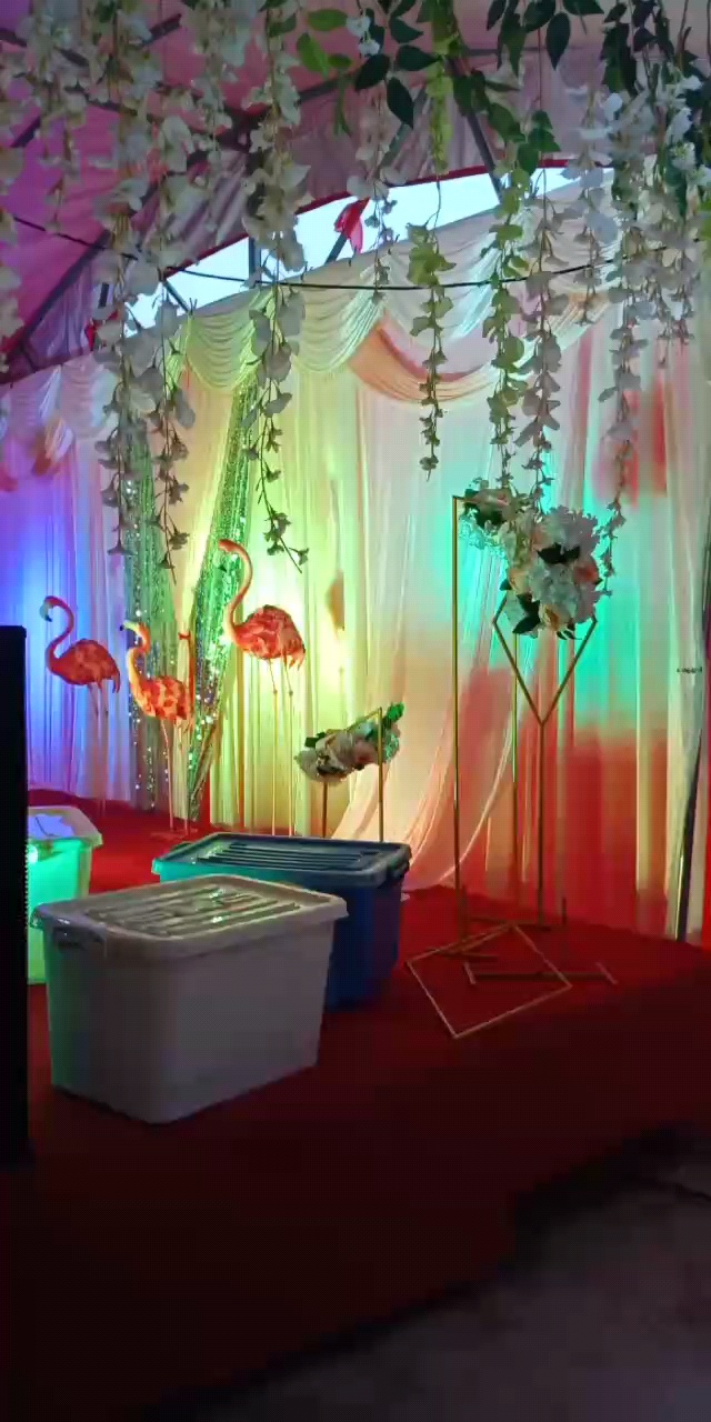 农村大棚婚礼之小清新系列