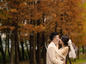 秋季·婚纱照，浪漫秋季带你漫步林间！