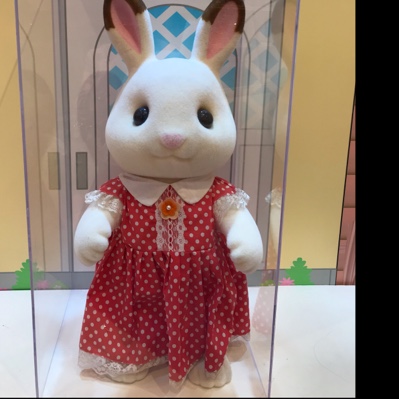 等爱兔