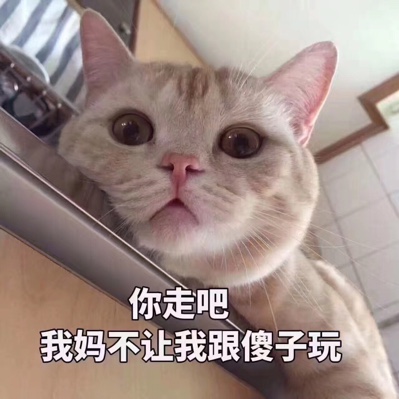 菠萝蜜