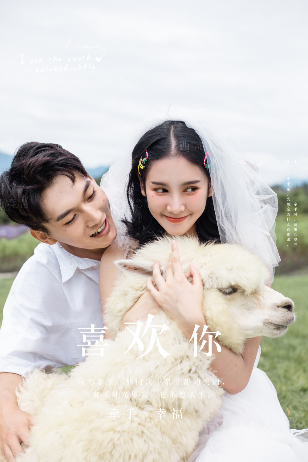羊驼婚纱照_武汉羊驼婚纱照