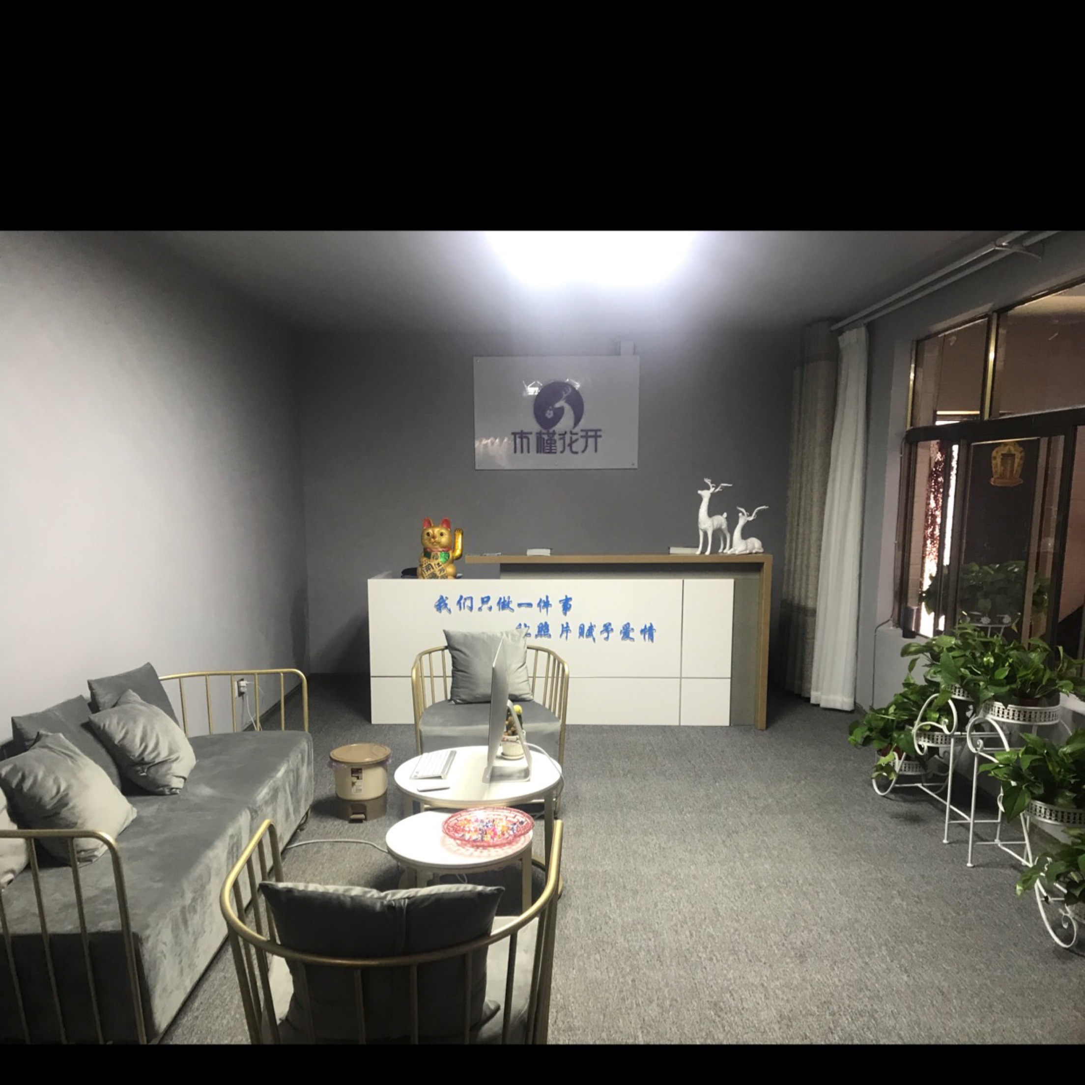 木槿花开旅拍摄影(西藏店)