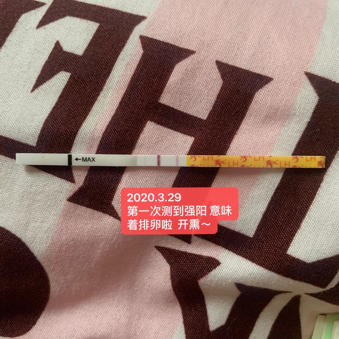 赶得上最后一拨鼠吗？
