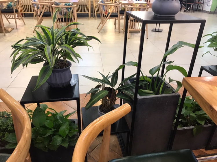 驻马店艺匠婚礼策划