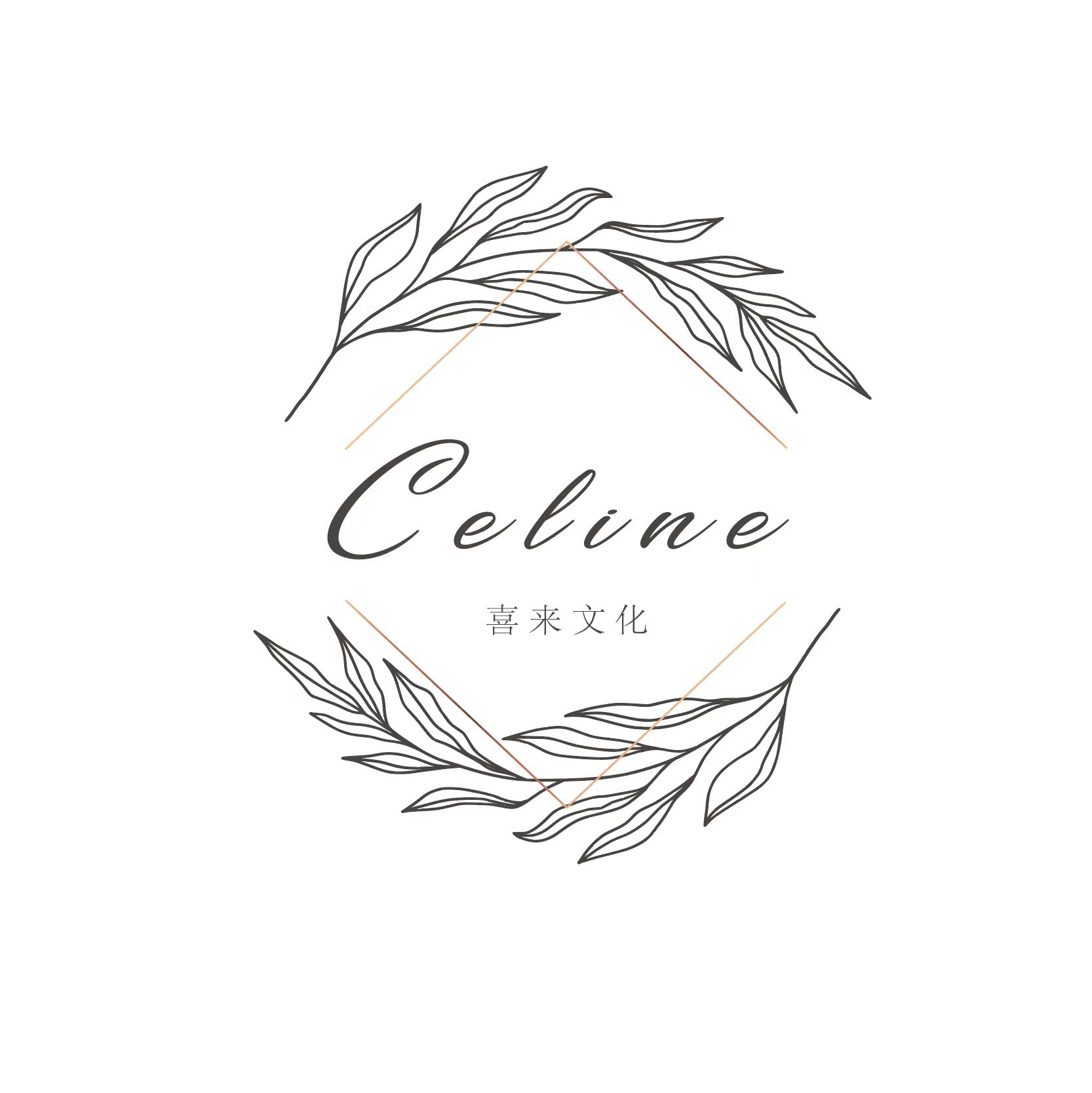 Celine妆典