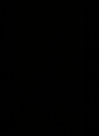 开心果