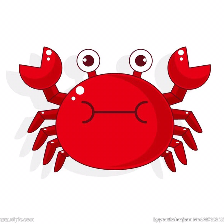 null星辰摄影摄像