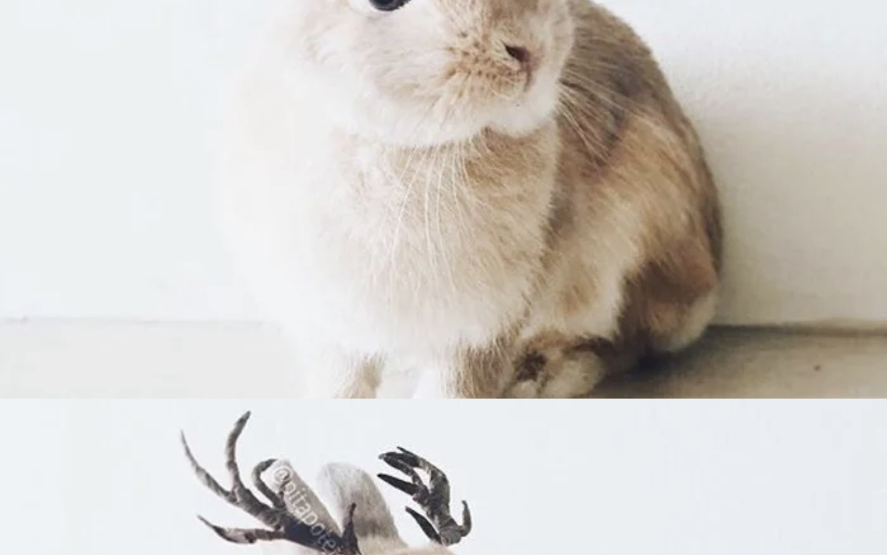 测试聚聚斤斤计较