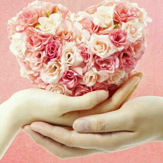 天天有喜事一号店