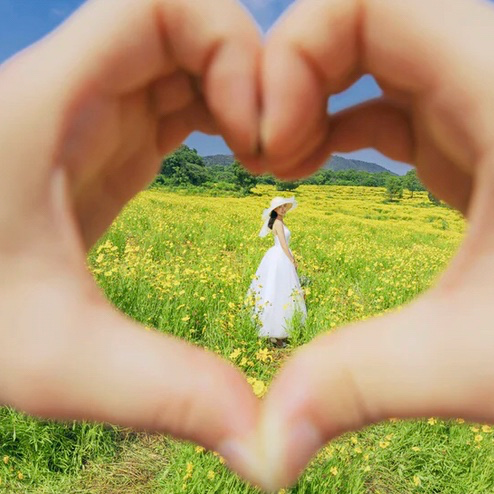 【巴厘印象】历史冰价-精修40张8服8造