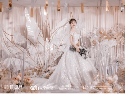 唯美香槟色案例超实惠套餐