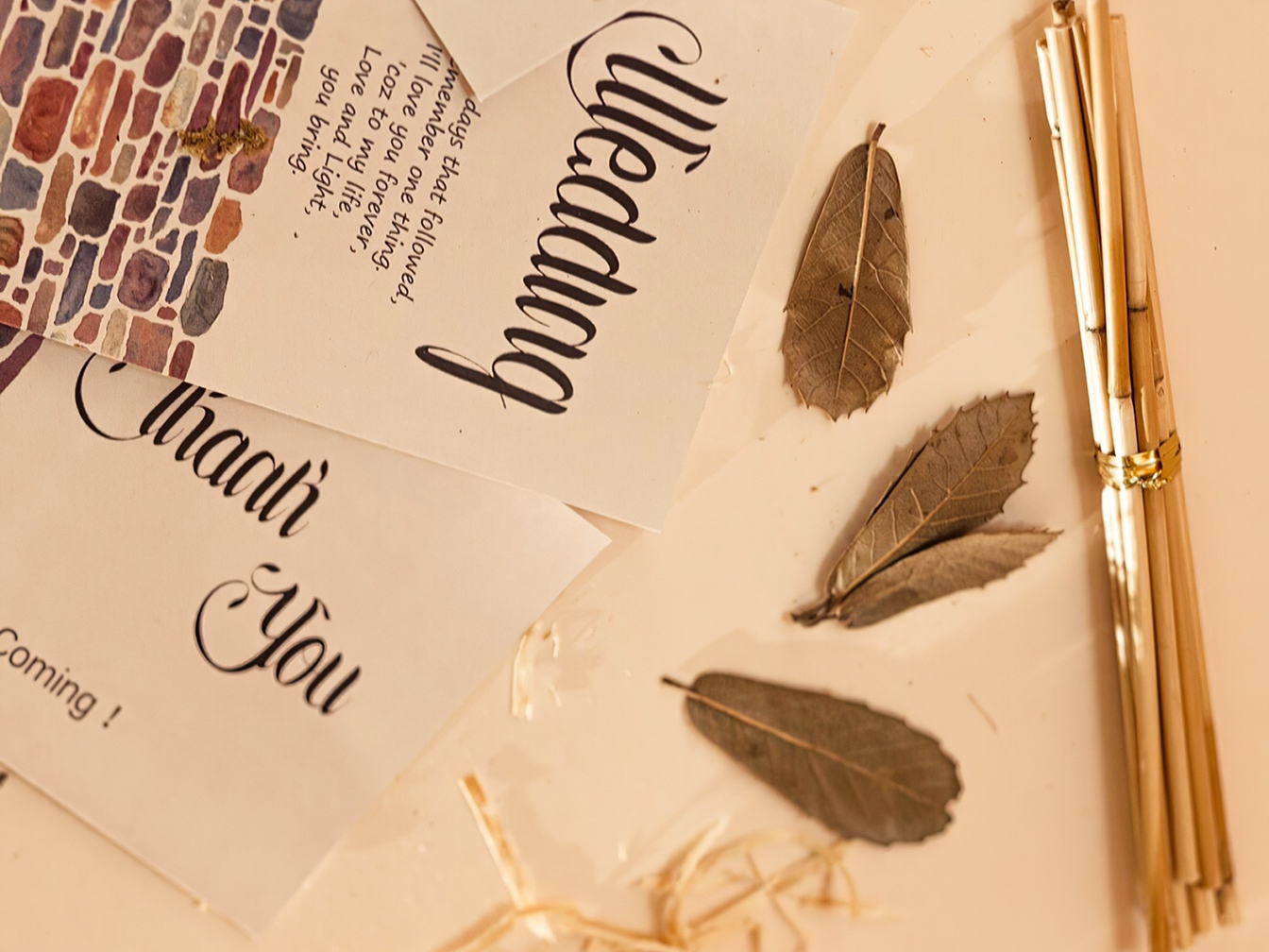 香槟色简约婚礼现场               