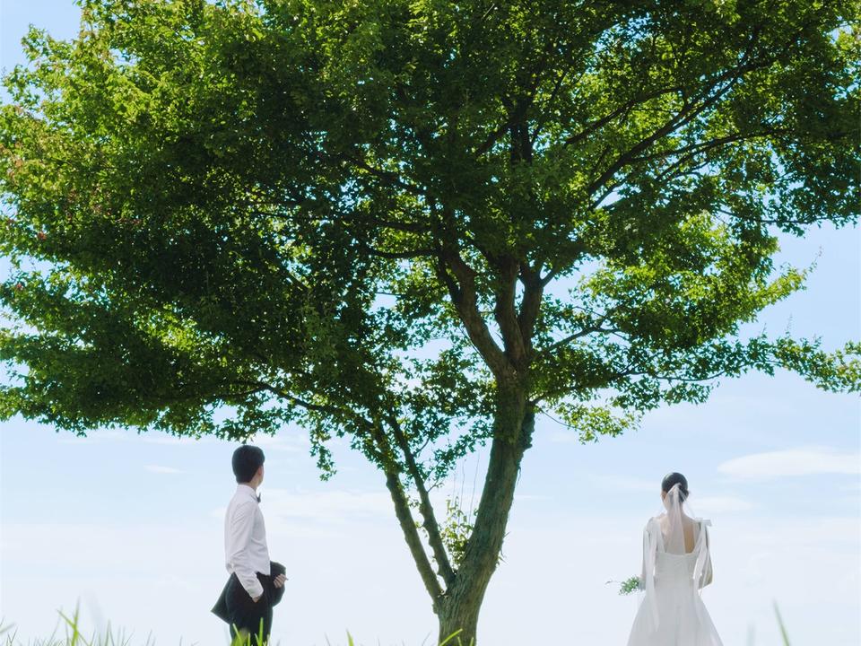 【清新森系】法式电影感婚纱照|一对一服务