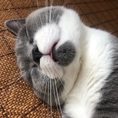 fff