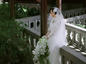 民国园林的美景与婚纱的华丽构成了一幅如梦的画面！