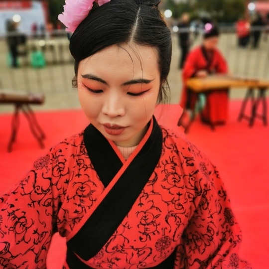 中华民族传统文化  春季到来李花开 