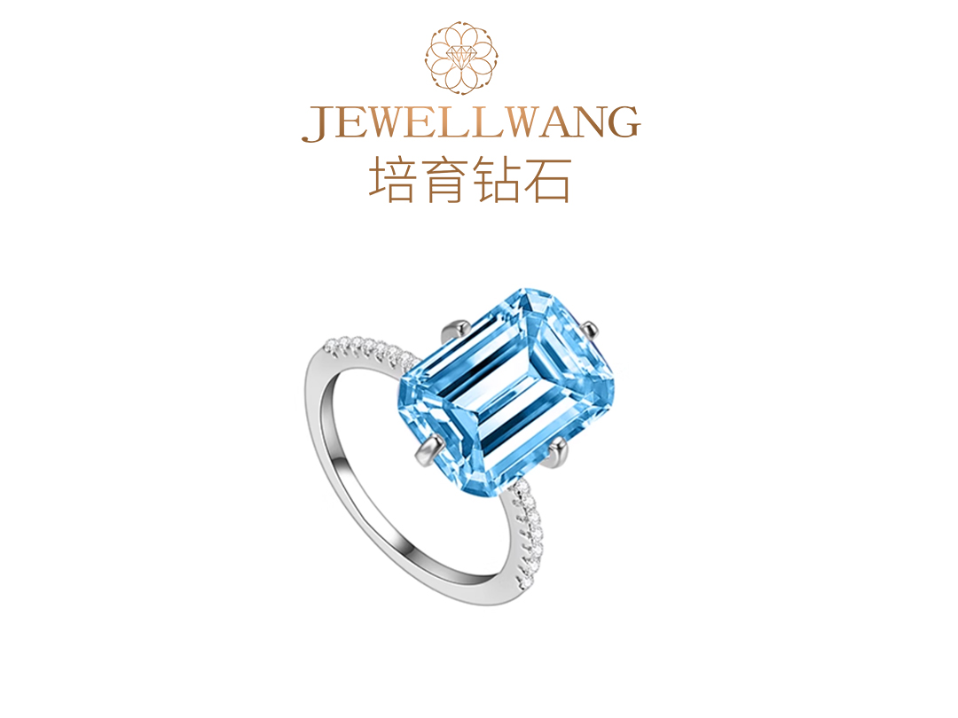 天青 JEWELLWANG培育钻石彩钻蓝钻婚戒指