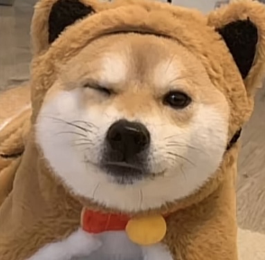 七八
