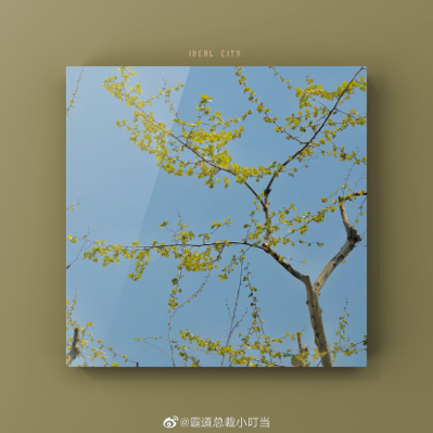 一风疏落