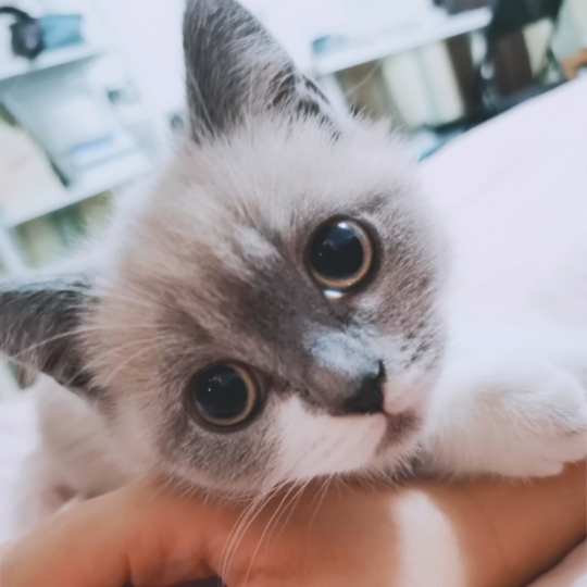 
测试安卓发布的最后一个婚纱摄影取景地