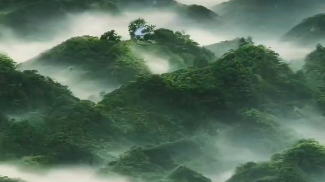 每一阵风，都会吹向你~