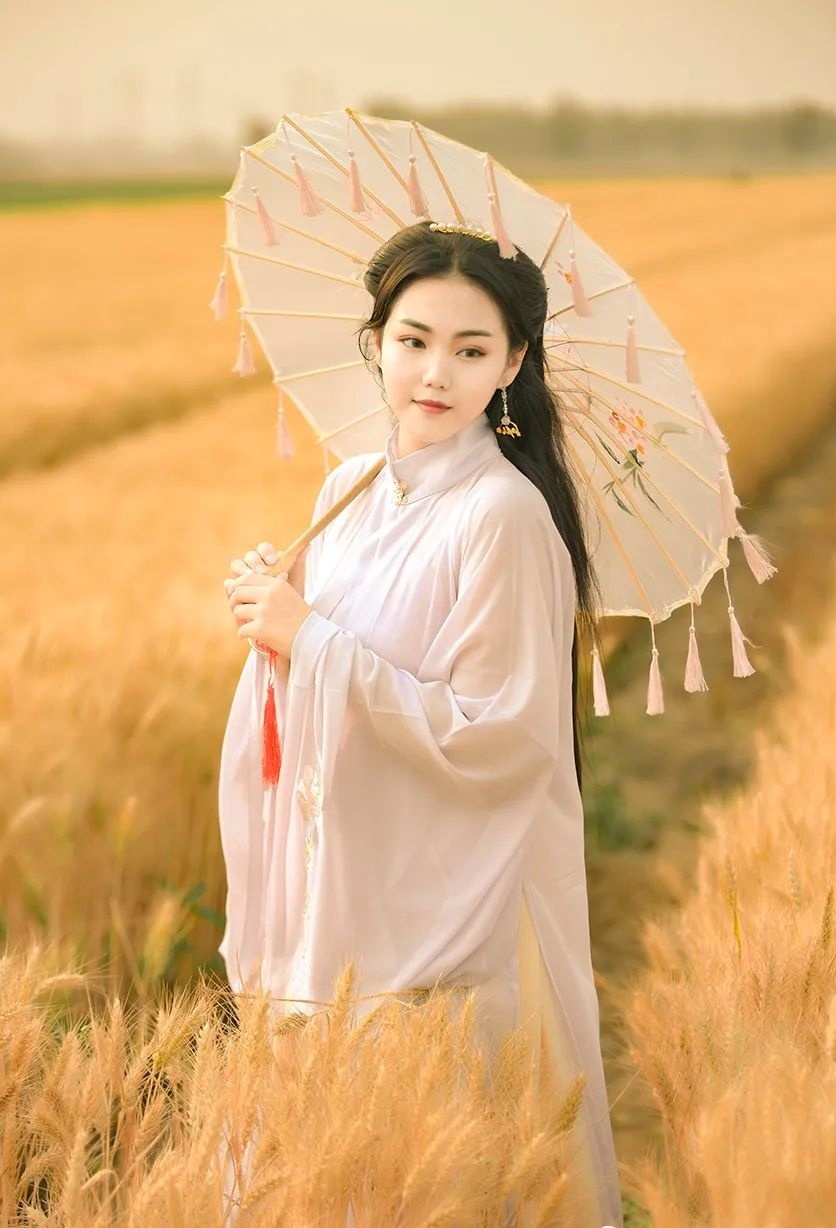 风吹麦浪