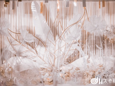 唯美香槟色案例超实惠套餐