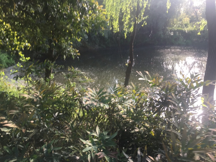 测试方法有什么可以解决的问题，