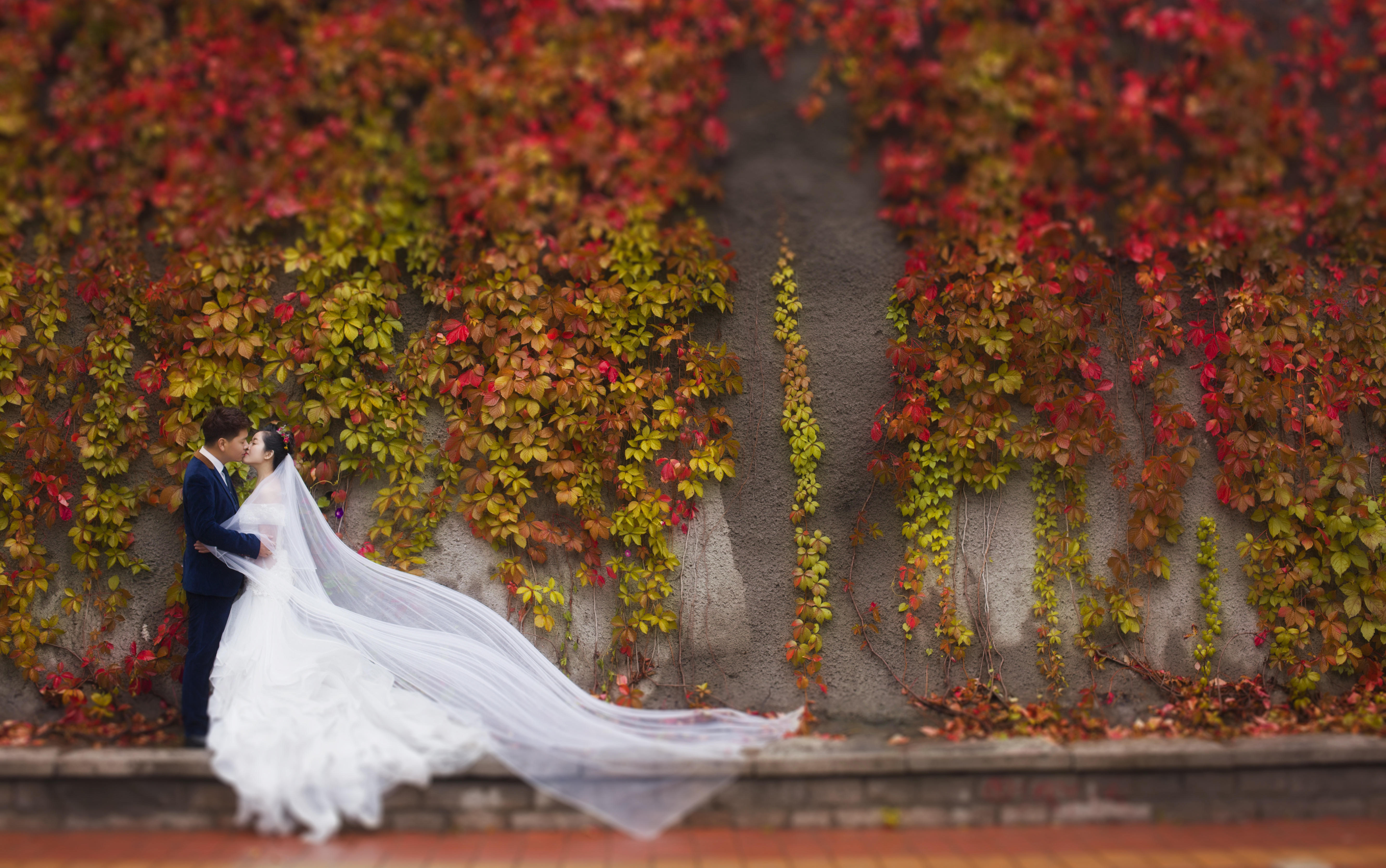 null测试朱砂摄像