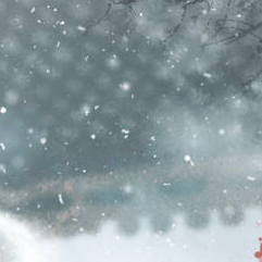 null测试婚礼摄影3005