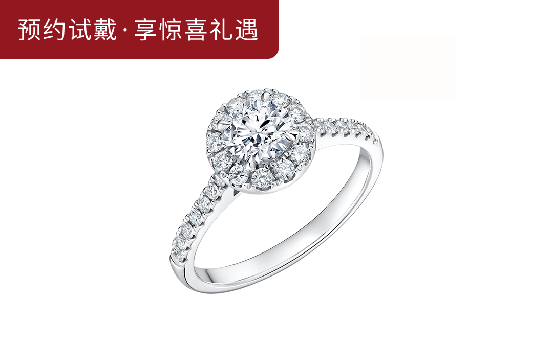 TRUE LOVE系列简奢款求婚钻戒WJ0066