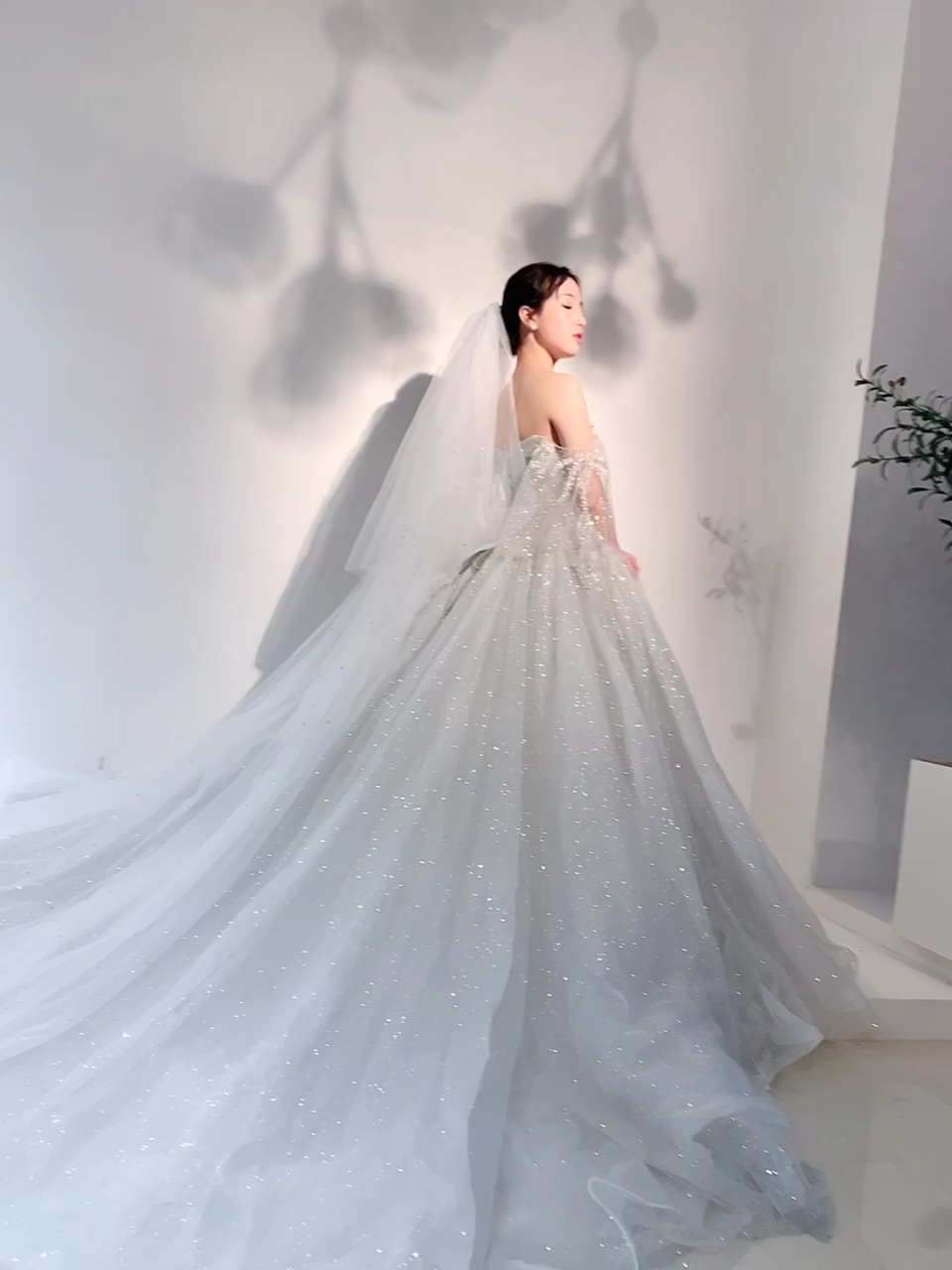 星空公主系——梦幻中的婚礼