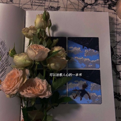 晓圆