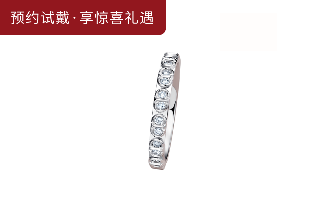 DR钻戒D系列余生是你情侣女戒QW0173