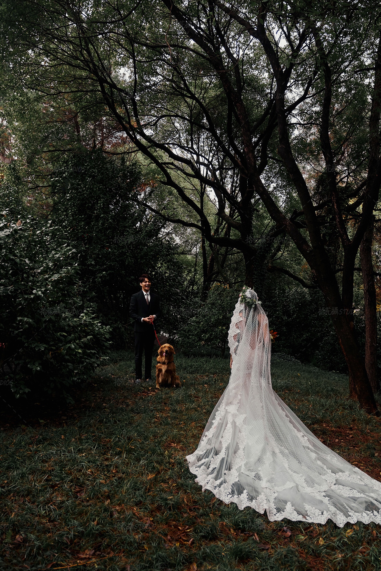 森系婚纱_森系婚纱造型图片(2)