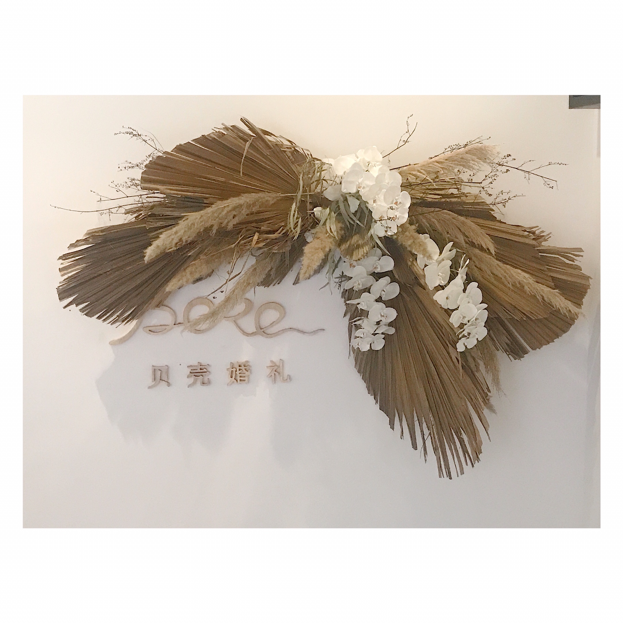 贝壳婚礼